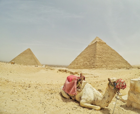 Etapa 4: Día 7 & 8: Cairo: citadel y pirámides - 10 días por libre en Egipto: del Cairo a Luxor y vuelta (18)