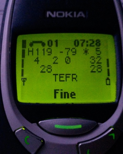 nokia_3310_1.jpg