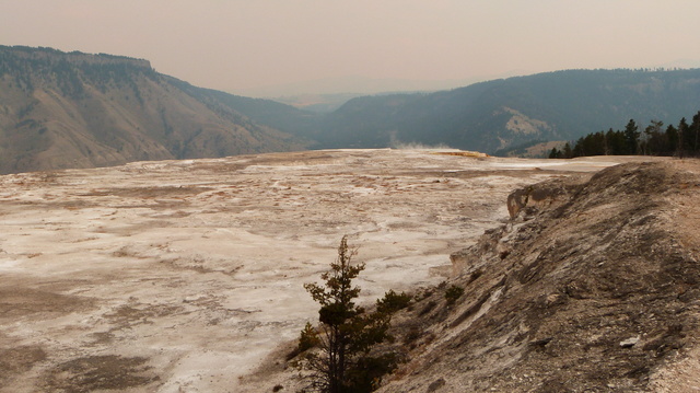 Día 15: Yellowstone IV: Y. Lake + Mud Volcano + Y. Canyon + Mammoth Hot H. - Las maravillas del Noroeste de los Estados Unidos (31)