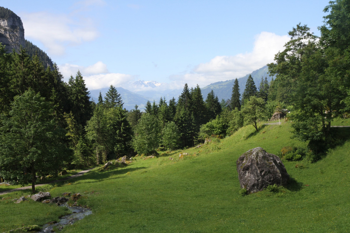 REPETIMOS SUIZA Y DESCUBRIMOS OTRAS BELLEZAS DE FRANCIA - Blogs de Suiza - THUN- LAGO DE BRIENZ- SUBIDA AL NIEDERHORN (1)