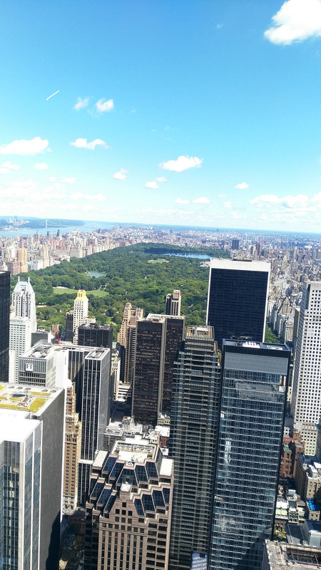 Una semana en Nueva York - Blogs de USA - DÍA 4 TOR, CENTRAL STATION, 5º AVENIDA, SOHO Y PUENTE DE BROOKLYN (1)