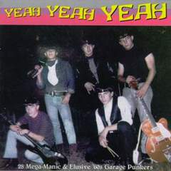 V.A Yeah Yeah Yeahs (1998) .mp3 - 320 Kbps