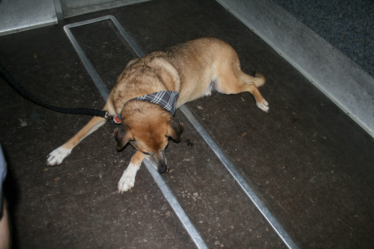 Slika