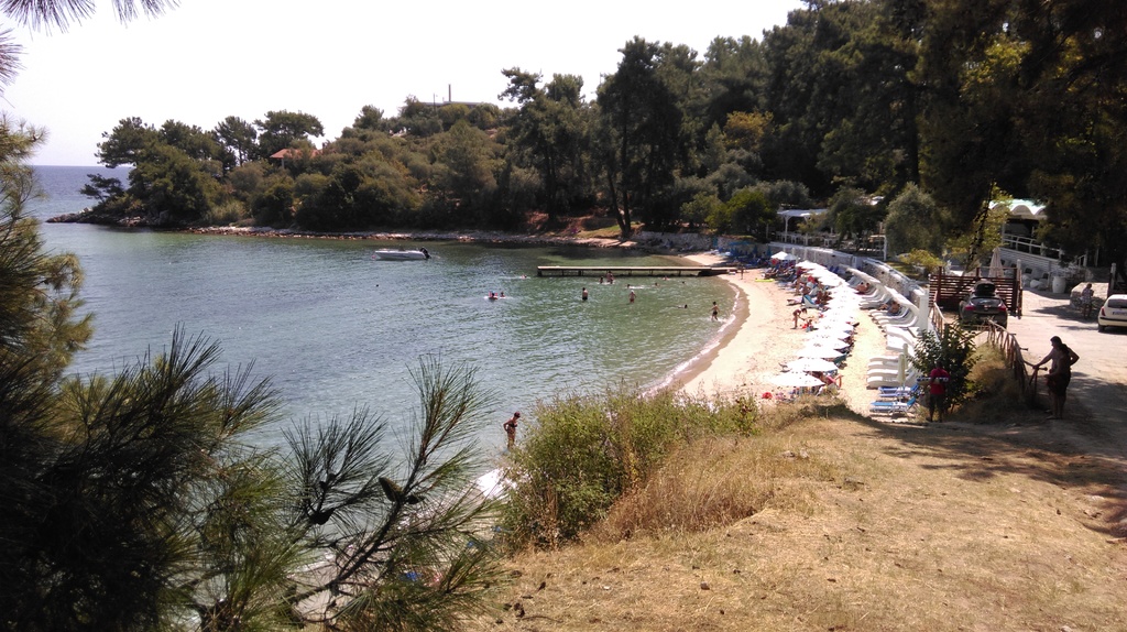 Slika